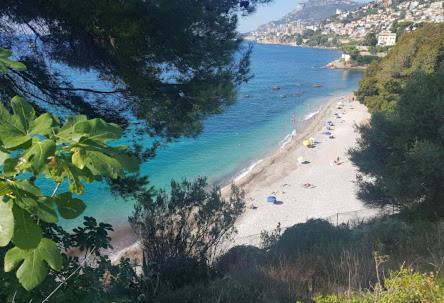 Charmant 2 Pieces Vue Sur Mer Et Monte-Carlo A Roquebrune Cap Martin Kültér fotó